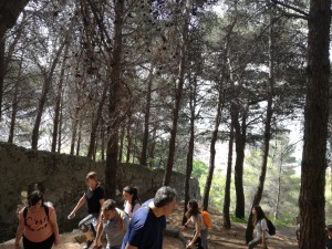 All'interno della Pineta del Castello Arechi