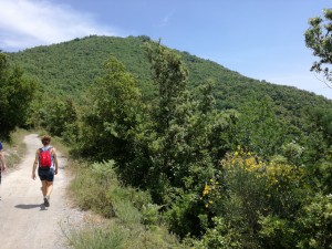 Il facile sentiero che riconduce al Centro Storico di Salerno